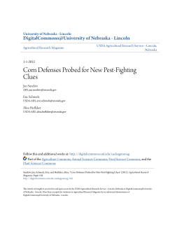 Corn Defenses Probed for New Pest