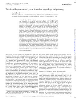 Print - American Journal of Physiology
