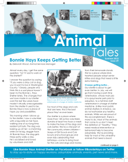 Animal Tales, Spring/Summer 2012