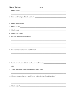 Tales of the Past Worksheet