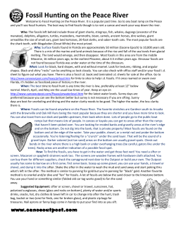 Fossil Hunting on the Peace River