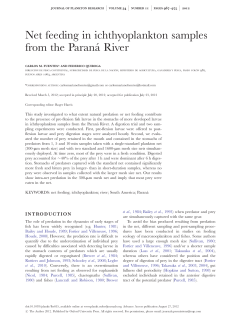 Net feeding in ichthyoplankton samples from the Parana&acute; River