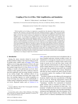 Coupling of Sea Level Rise, Tidal Amplification