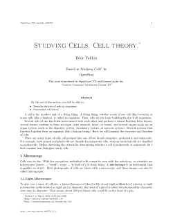 Studying Cells. Cell theory.