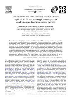Female colour and male choice in sockeye salmon