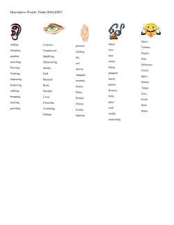 Descriptive Words: Think IMAGERY