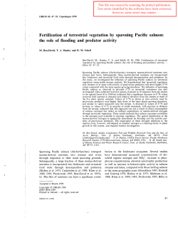 Fertilization of terrestrial vegetation by spawning Pacific