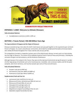 EXHIBITION WALK THROUGH ENTRANCE / LOBBY: Welcome to
