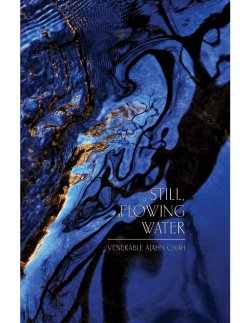 Still, Flowing Water