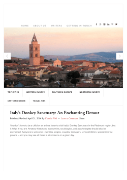 Italy`s Donkey Sanctuary: An enchanting Detour