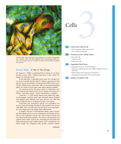 3Cells