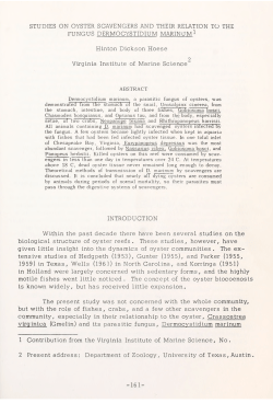 Studies on oyster scavengers and their relation to the fungus