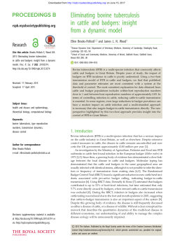 Eliminating bovine tuberculosis in cattle and badgers: insight from a