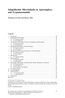 Sample pages 2 PDF