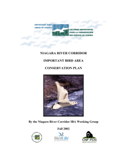 conservation goals for the niagara river corridor iba
