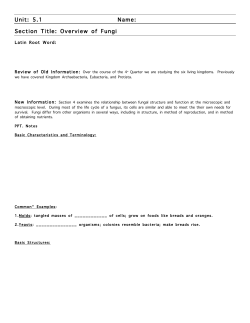 Unit: 5.1 Name: Section Title: Overview of Fungi