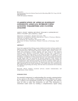 CLASSIFICATION OF AFRICAN ELEPHANT LOXODONTA