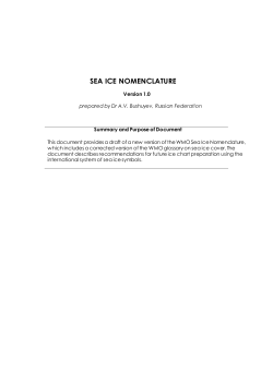 SEA ICE NOMENCLATURE - globalcryospherewatch.org