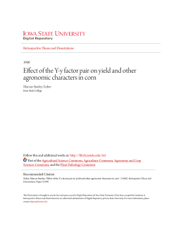 Effect of the Y-y factor pair on yield and other agronomic characters