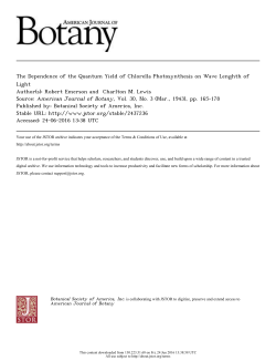 The Dependence of the Quantum Yield of Chlorella Photosynthesis