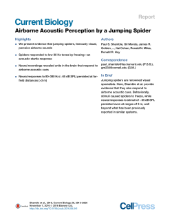 Airborne Acoustic Perception by a Jumping Spider