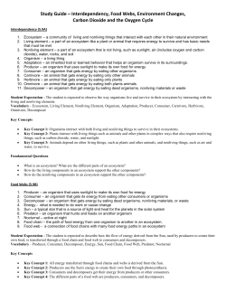 Study Guide &ndash; Interdependency, Food Webs