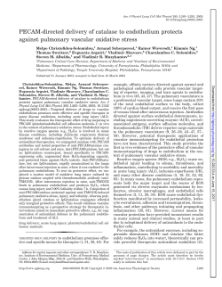 PECAM-directed delivery of catalase to endothelium - AJP-Lung