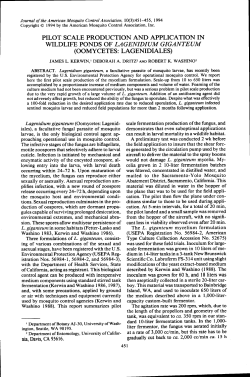 pilot scale production and application in wildlife ponds of lagenidium