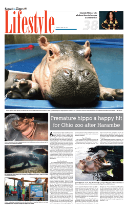 Premature hippo a happy hit for Ohio zoo after