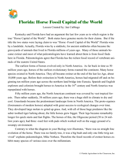 Florida: Horse Fossil Capital of the World