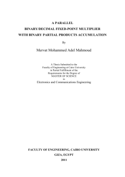 Mervat Mohammed Adel Mahmoud