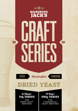 dried yeast - Love Brewing