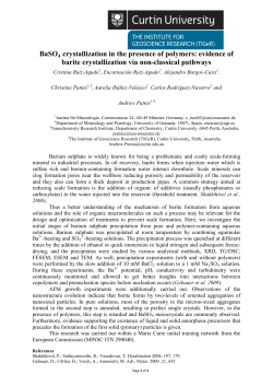 BaSO4 crystallization in the presence of polymers: evidence of