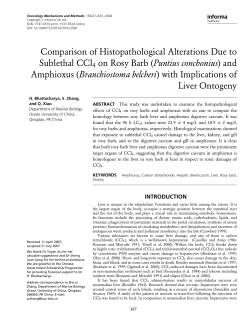 Comparison of Histopathological Alterations Due to Sublethal CCl4
