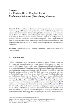 An Underutilized Tropical Plant Psidium cattleianum (Strawberry