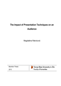 BACHELOR THESIS 2013