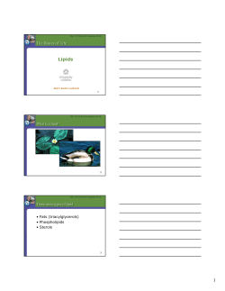 Lipids - University of Idaho