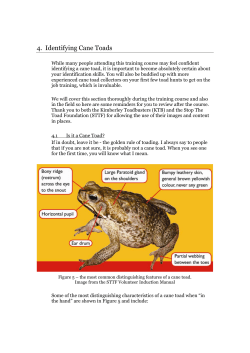 4. Identifying Cane Toads