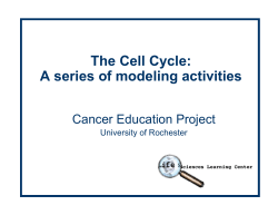 The Cell Cycle: A series of modeling activities - URMC