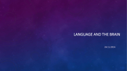 Language and the brain