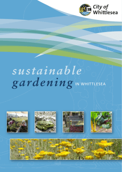 sustainable gardening