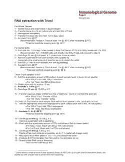 Total RNA Extraction with Trizol