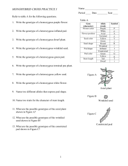 Snap dragon - kehsscience.org
