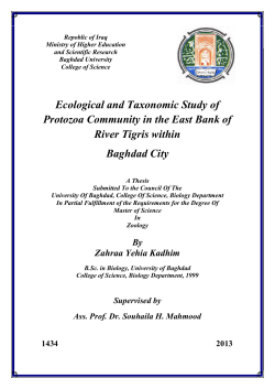 Ecological and Taxonomic Study of Protozoa Community in the East