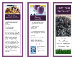 Blueberry Brochure - 3 Birds Berry Farm
