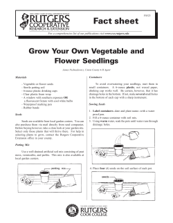 Grow Your Own Vegetable and Flower Seedlings