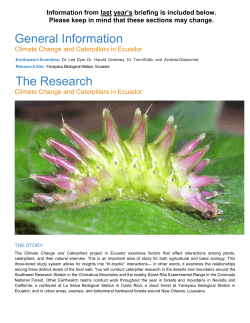Climate Change and Caterpillars in Ecuador