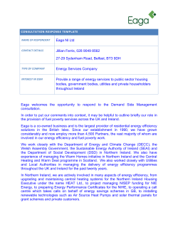 consultation response template - Commission for Energy Regulation