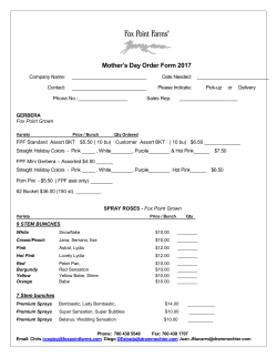 Rose Grading Daily Report