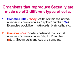 Organisms that reproduce Sexually are made up of 2